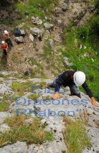 D20_0984 net